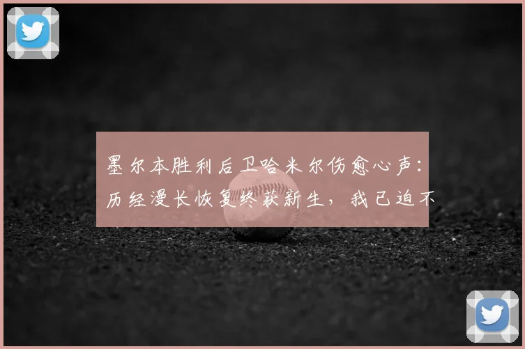 墨尔本胜利后卫哈米尔伤愈心声：历经漫长恢复终获新生，我已迫不及待重返赛场